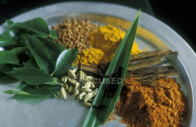 Vista ravvicinata di spezie ed erbe per un curry — Foto stock