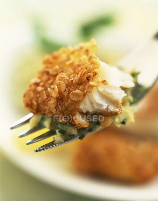 Fried halibut fish — Stock Photo