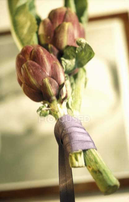 Poivrade artichokes with pink ribbon — Stock Photo