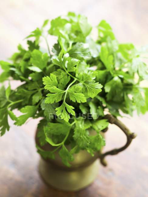 Bunch of fresh parsley — Stock Photo