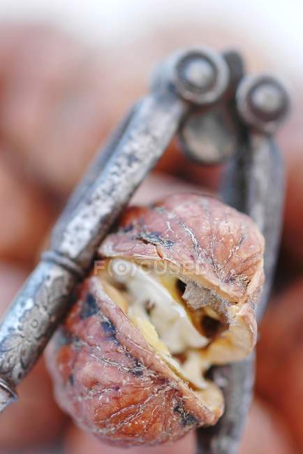 Cracking whole walnut — Stock Photo