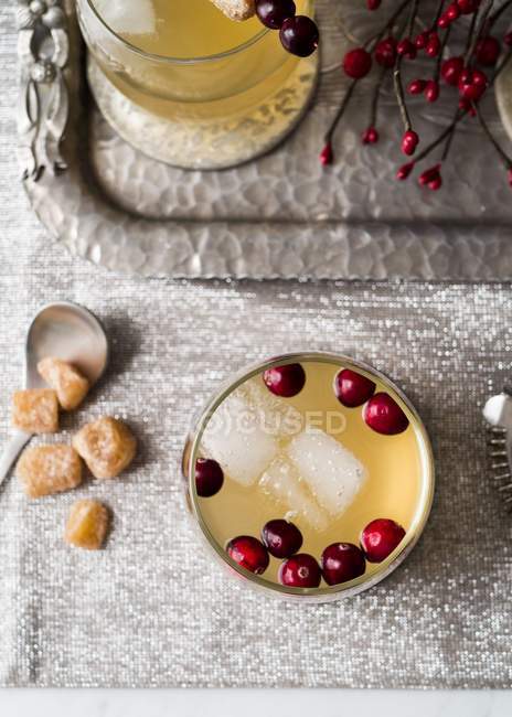 Cranberry ginger festive cocktail — Stock Photo