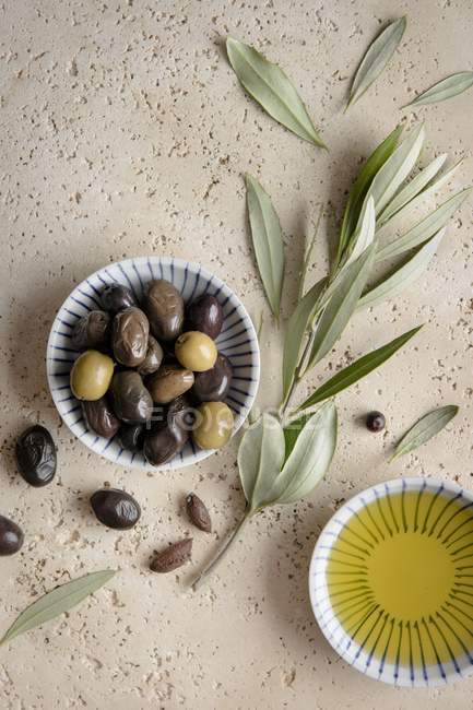 Oliven mit Olivenzweig und Olivenöl — Stockfoto
