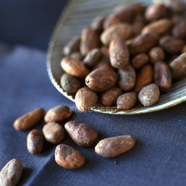 Granos de cacao en el plato - foto de stock