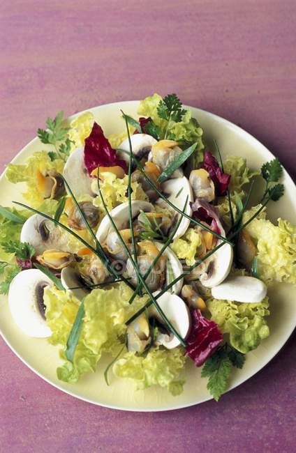 Гаражі салат з грибами — стокове фото