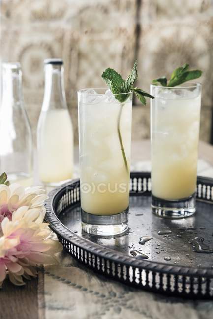 Gin et cocktail lavande — Photo de stock