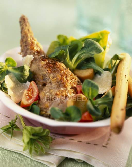 Salada de coelho caesar — Fotografia de Stock