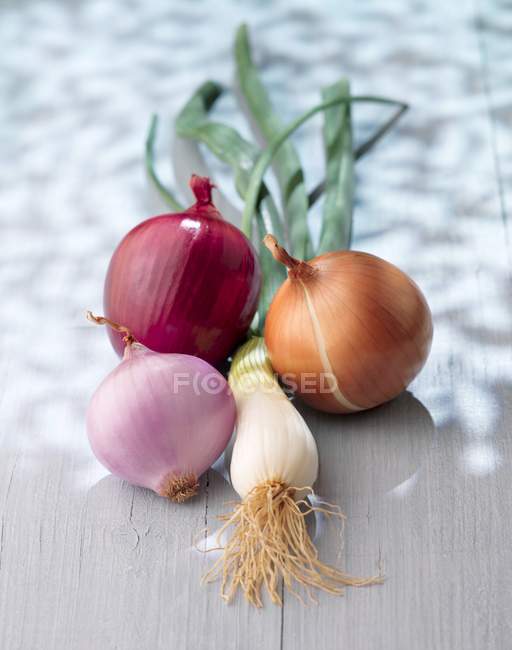 Assorted fresh onions — Stock Photo