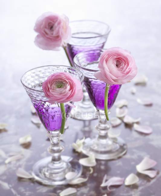 Cócteles violeta en vasos - foto de stock