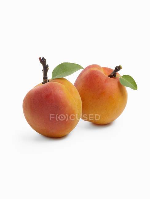 Deux abricots crus — Photo de stock