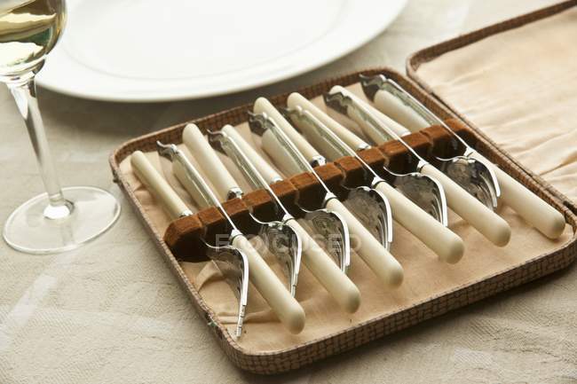 Vue rapprochée des couteaux et fourchettes de poissons antiques dans l'ensemble — Photo de stock
