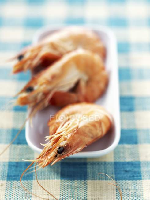 Cooked prawns on white dish — Stock Photo