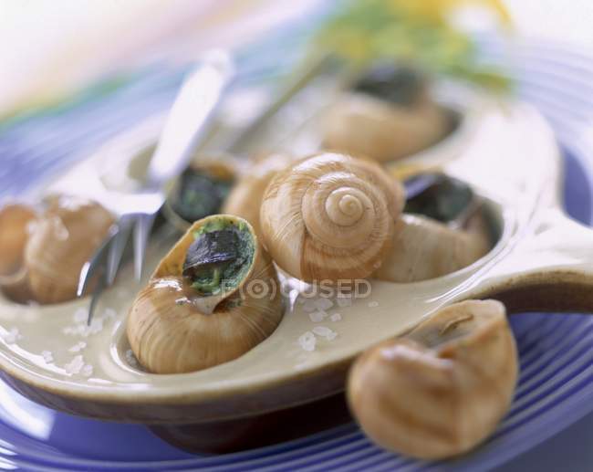 Dish of snails sprinkled with parsley on purple plate — Stock Photo