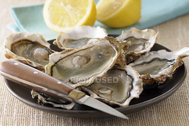 Fresh oysters with halved lemon — Stock Photo