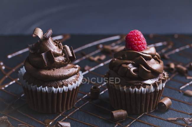 Decadent chocolate cupcakes with chocolate icing — Stock Photo