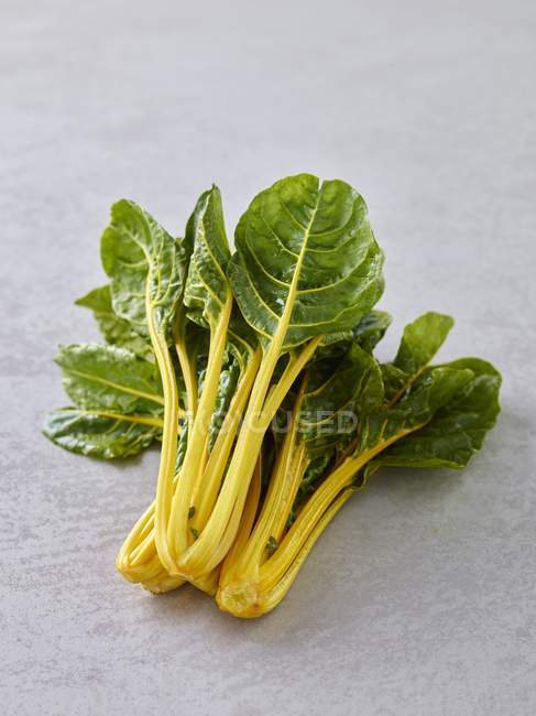Fresh yellow-stemmed chard — Stock Photo