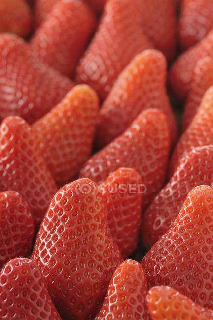 Rote reife Erdbeeren — Stockfoto