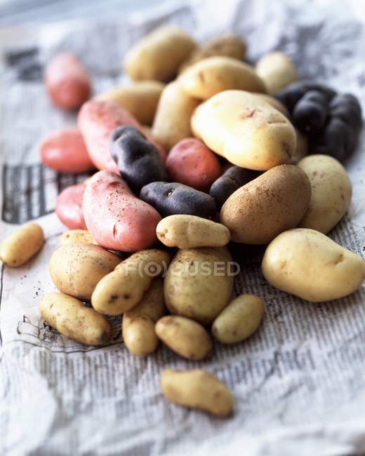 Batatas diferentes frescas — Fotografia de Stock
