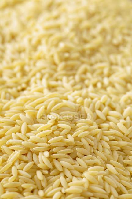 Raw uncooked orzo pasta — Stock Photo