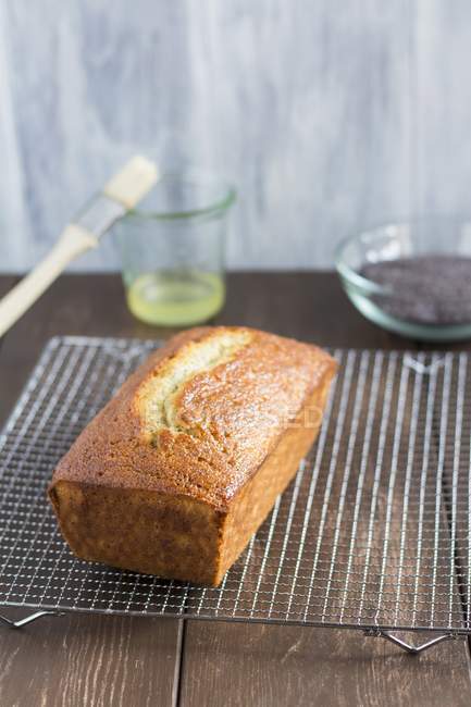 Lemon and poppyseed loaf cake — Stock Photo