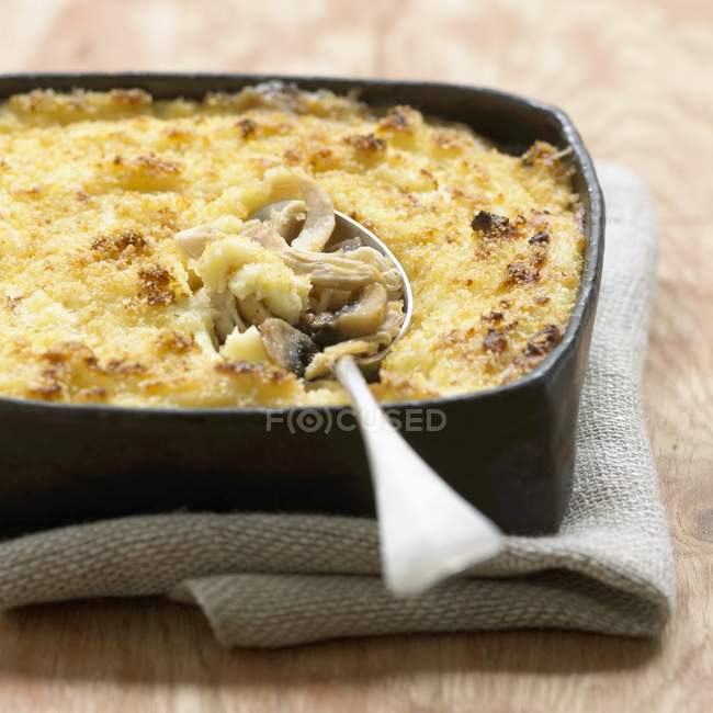 Ancenis chicken Parmentier — Stock Photo