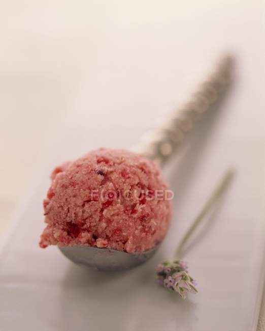 Scoop of redcurrant and lavender ice cream — Stock Photo