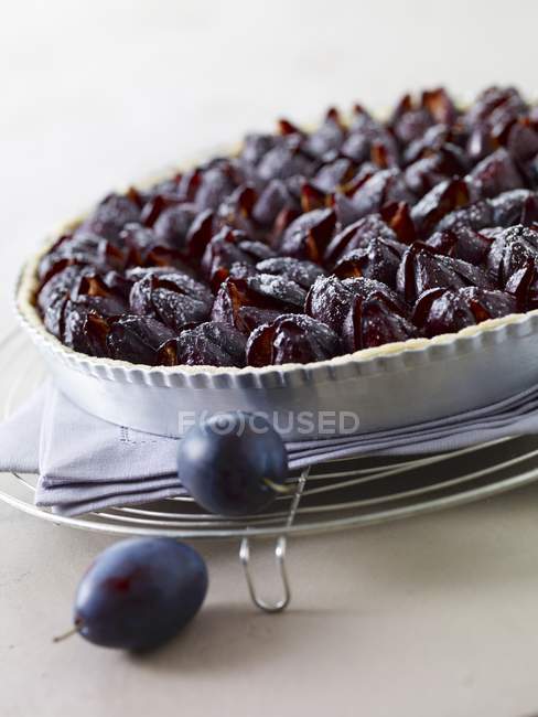 Homemade plum tart — Stock Photo