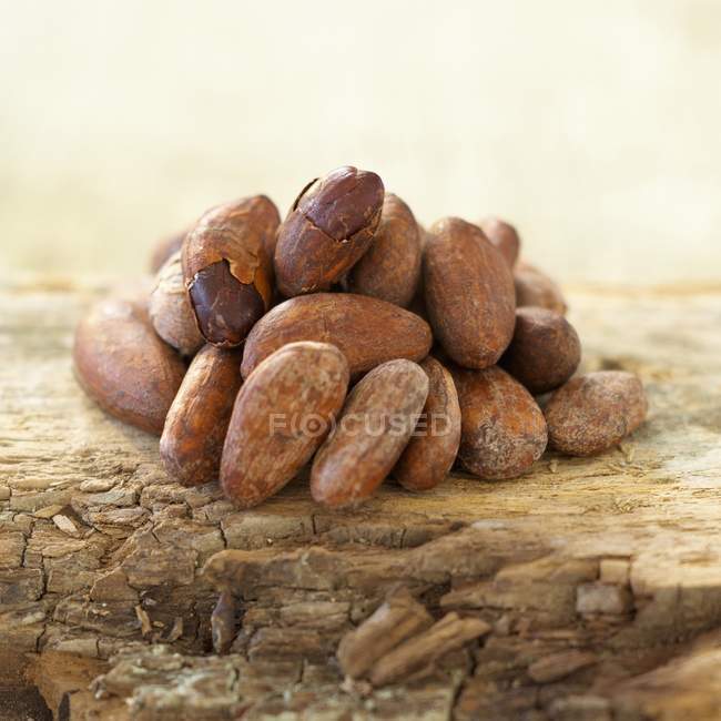 Montón de granos de cacao - foto de stock