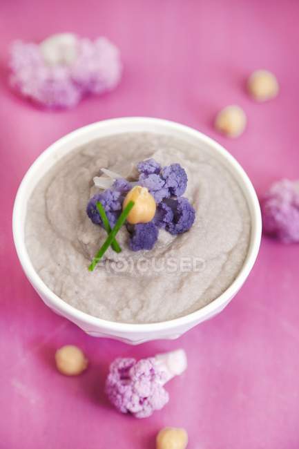 Creme aus lila Blumenkohl — Stockfoto