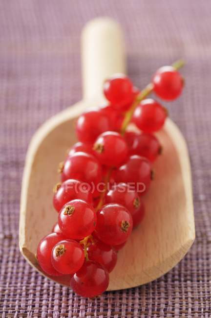 Groselhas vermelhas em colher de madeira — Fotografia de Stock