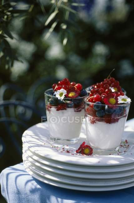 Mousse di Fromage blanc — Foto stock
