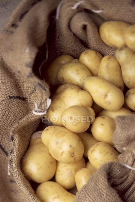 Fresh potatoes in sackcloth — Stock Photo