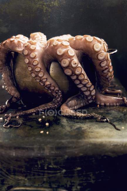 Свежий осьминог в миске — стоковое фото