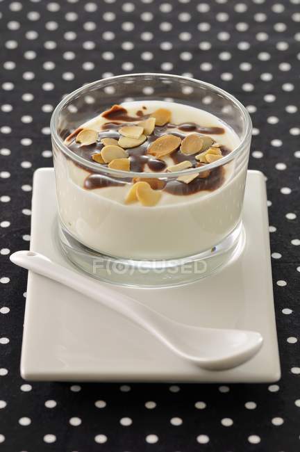 Almond milk panacotta — Stock Photo