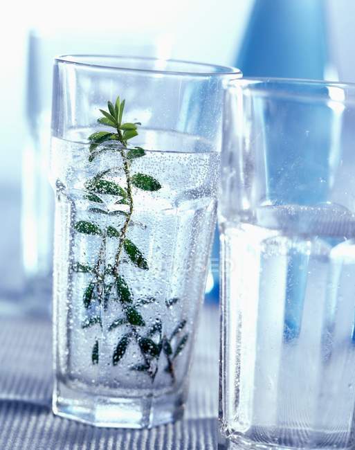 Nahaufnahme von zwei Gläsern Mineralwasser mit Zweig — Stockfoto