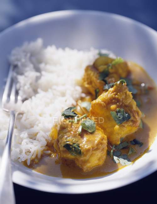 Chicken Korma on white plate with fork on blurred background — Stock Photo
