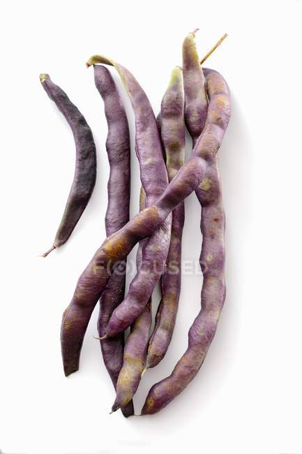 Сырая пурпурная фасоль — стоковое фото