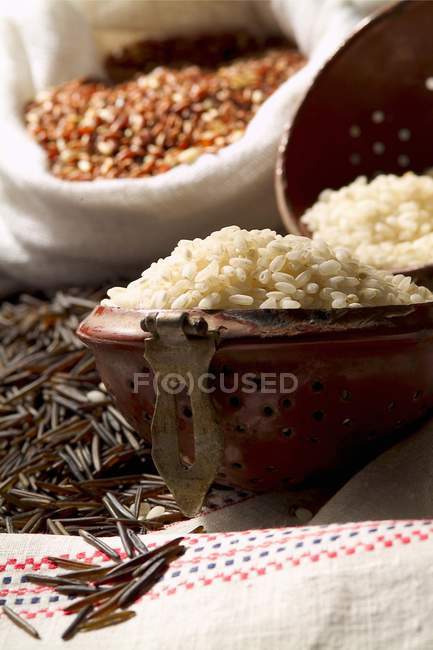 Diversi tipi di riso crudo — Foto stock