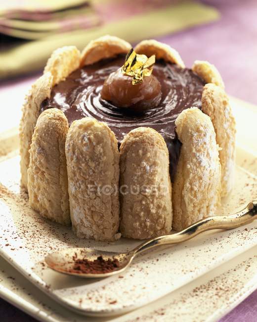 Chocolate and chestnut charlotte cake — Stock Photo