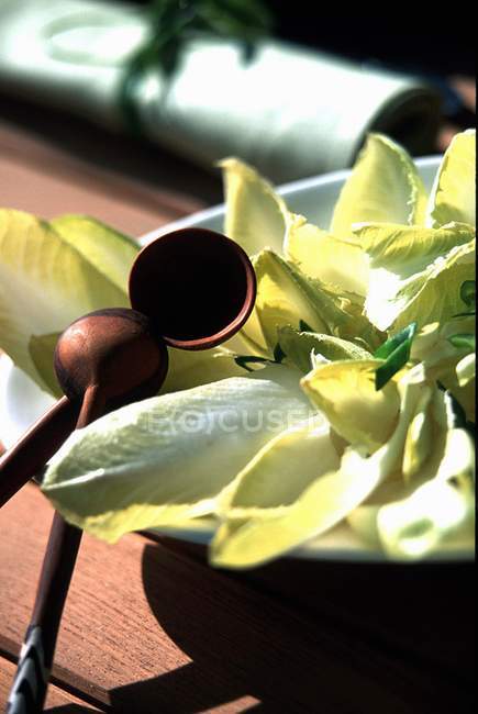 Salade de chicorée sur assiette — Photo de stock