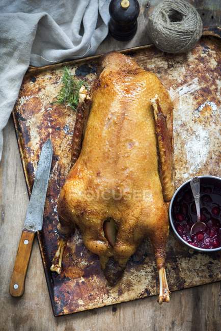 Roast goose with knife — Stock Photo