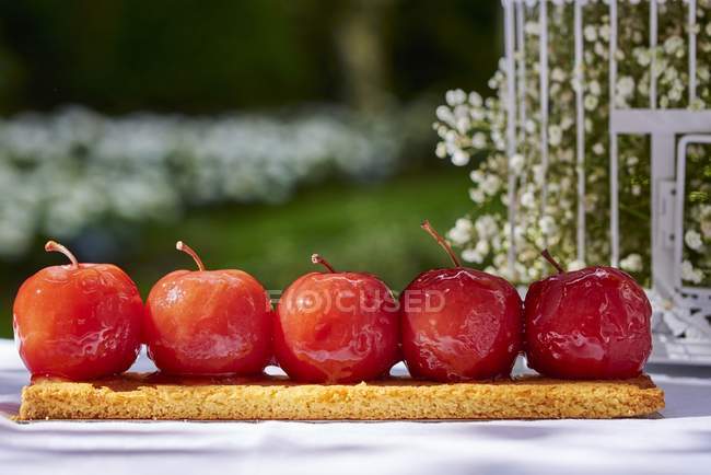 Карамельные яблоки в ряд — стоковое фото