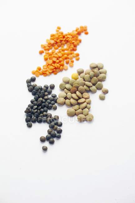 Different varieties of lentils — Stock Photo