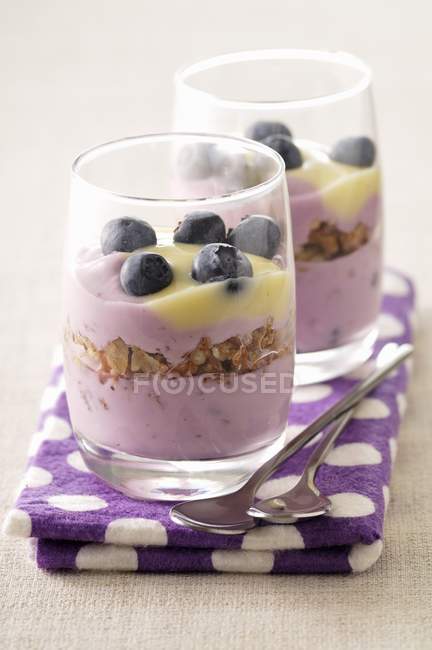 Cereal and blueberry Tiramisu — Stock Photo
