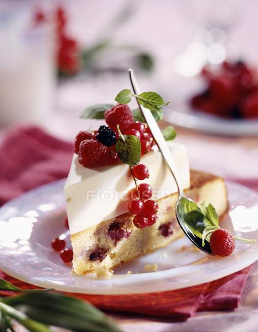 Chocolate sponge cake with summer fruit — Stock Photo