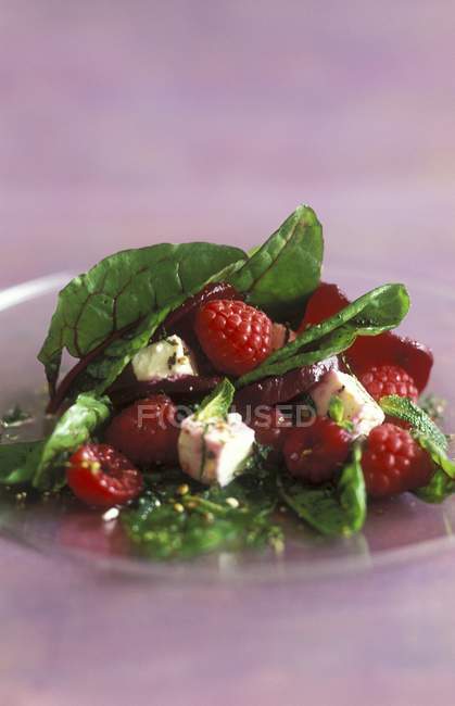 Salat mit Rote Bete Blättern — Stockfoto
