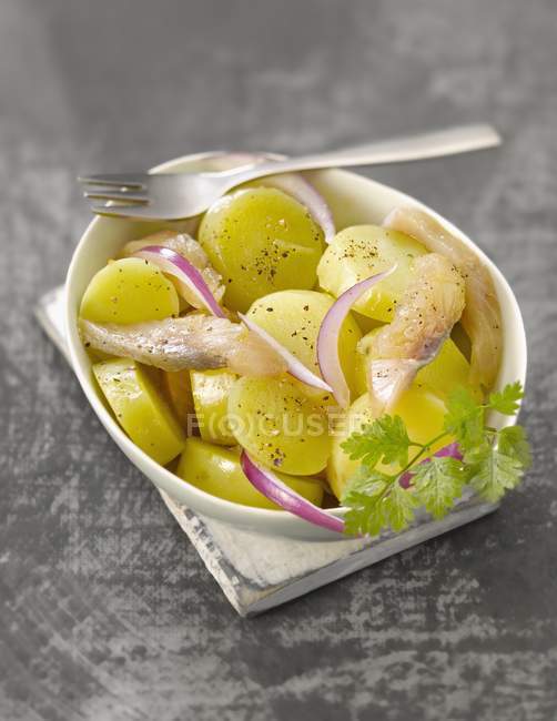 Salade d'oignon rouge — Photo de stock