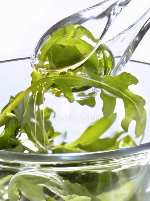 Rocket salad in glass plate — Stock Photo