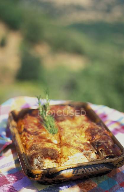 Whole Lasagne with cheese and mushrooms — Stock Photo
