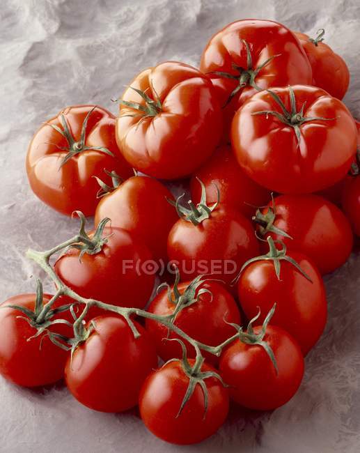 Red ripe tomatoes — Stock Photo